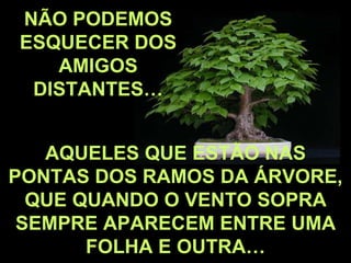 AQUELES QUE ESTÃO NAS PONTAS DOS RAMOS DA ÁRVORE, QUE QUANDO O VENTO SOPRA SEMPRE APARECEM ENTRE UMA FOLHA E OUTRA… NÃO PODEMOS ESQUECER DOS AMIGOS DISTANTES… 