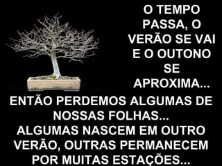 O TEMPO PASSA, O VERÃO SE VAI E O OUTONO SE APROXIMA... ENTÃO PERDEMOS ALGUMAS DE NOSSAS FOLHAS... ALGUMAS NASCEM EM OUTRO VERÃO, OUTRAS PERMANECEM POR MUITAS ESTAÇÕES... 