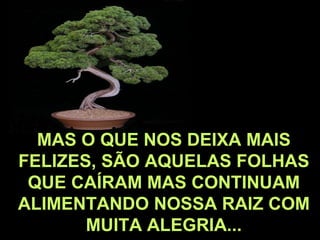 MAS O QUE NOS DEIXA MAIS FELIZES, SÃO AQUELAS FOLHAS QUE CAÍRAM MAS CONTINUAM ALIMENTANDO NOSSA RAIZ COM MUITA ALEGRIA... 