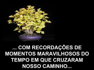 ... COM RECORDAÇÕES DE MOMENTOS MARAVILHOSOS DO TEMPO EM QUE CRUZARAM NOSSO CAMINHO... 