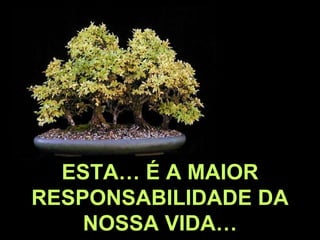 ESTA… É A MAIOR RESPONSABILIDADE DA NOSSA VIDA… 