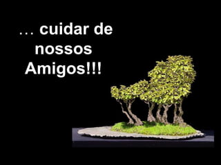 …  cuidar de nossos Amigos!!! 