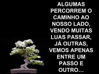 ALGUMAS PERCORREM O CAMINHO AO NOSSO LADO, VENDO MUITAS LUAS PASSAR, JÁ OUTRAS, VEMOS APENAS ENTRE UM PASSO E OUTRO… 