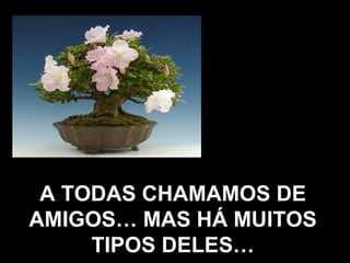 A TODAS CHAMAMOS DE AMIGOS… MAS HÁ MUITOS TIPOS DELES… 