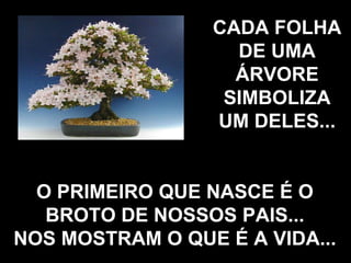CADA FOLHA DE UMA ÁRVORE SIMBOLIZA UM DELES... O PRIMEIRO QUE NASCE É O BROTO DE NOSSOS PAIS... NOS MOSTRAM O QUE É A VIDA... 