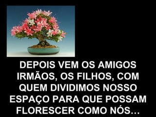 DEPOIS VEM OS AMIGOS IRMÃOS, OS FILHOS, COM QUEM DIVIDIMOS NOSSO ESPAÇO PARA QUE POSSAM FLORESCER COMO NÓS… 