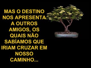 MAS O DESTINO NOS APRESENTA A OUTROS AMIGOS, OS QUAIS NÃO SABÍAMOS QUE IRIAM CRUZAR EM NOSSO CAMINHO... 