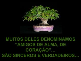 MUITOS DELES DENOMINAMOS “AMIGOS DE ALMA, DE CORAÇÃO”… SÃO SINCEROS E VERDADEIROS… 