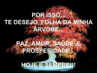 POR ISSO... TE DESEJO, FOLHA DA MINHA ÁRVORE... PAZ, AMOR, SAÚDE  E PROSPERIDADE... HOJE E SEMPRE!!! 