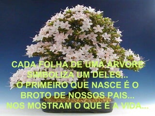 CADA FOLHA DE UMA ÁRVORE SIMBOLIZA UM DELES... O PRIMEIRO QUE NASCE É O BROTO DE NOSSOS PAIS... NOS MOSTRAM O QUE É A VIDA... 