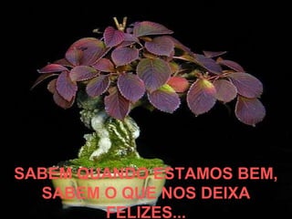 SABEM QUANDO ESTAMOS BEM,
  SABEM O QUE NOS DEIXA
        FELIZES...
 