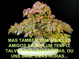 MAS TAMBÉM TEM AQUELES
 AMIGOS SÓ POR UM TEMPO,
TALVEZ POR UMAS FÉRIAS, OU
  UNS DIAS, UMAS HORAS...
 