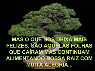 MAS O QUE NOS DEIXA MAIS
FELIZES, SÃO AQUELAS FOLHAS
 QUE CAÍRAM MAS CONTINUAM
ALIMENTANDO NOSSA RAIZ COM
       MUITA ALEGRIA...
 
