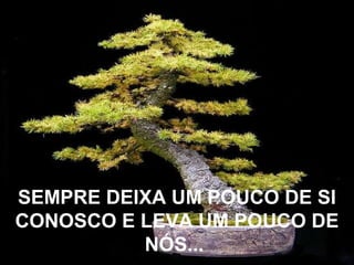 SEMPRE DEIXA UM POUCO DE SI
CONOSCO E LEVA UM POUCO DE
          NÓS...
 