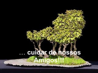 … cuidar de nossos
    Amigos!!!
 