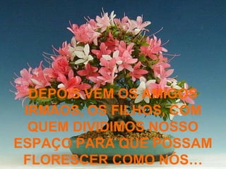 DEPOIS VEM OS AMIGOS
 IRMÃOS, OS FILHOS, COM
  QUEM DIVIDIMOS NOSSO
ESPAÇO PARA QUE POSSAM
 FLORESCER COMO NÓS…
 