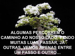 ALGUMAS PERCORREM O CAMINHO AO NOSSO LADO, VENDO MUITAS LUAS PASSAR, JÁ OUTRAS, VEMOS APENAS ENTRE UM PASSO E OUTRO… 