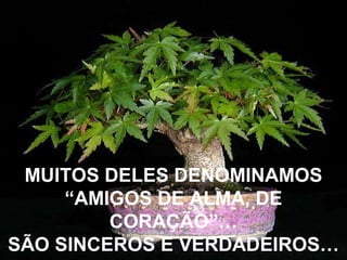 MUITOS DELES DENOMINAMOS
“AMIGOS DE ALMA, DE
CORAÇÃO”…
SÃO SINCEROS E VERDADEIROS…
 