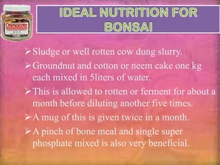 Sludge or well rotten cow dung slurry.
Groundnut and cotton or neem cake one kg
each mixed in 5liters of water.
This is allowed to rotten or ferment for about a
month before diluting another five times.
A mug of this is given twice in a month.
A pinch of bone meal and single super
phosphate mixed is also very beneficial.

 
