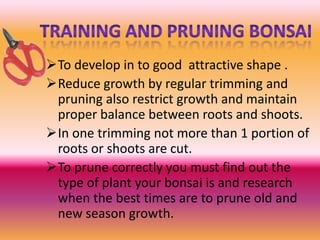 To develop in to good attractive shape .
Reduce growth by regular trimming and
pruning also restrict growth and maintain
proper balance between roots and shoots.
In one trimming not more than 1 portion of
roots or shoots are cut.
To prune correctly you must find out the
type of plant your bonsai is and research
when the best times are to prune old and
new season growth.

 