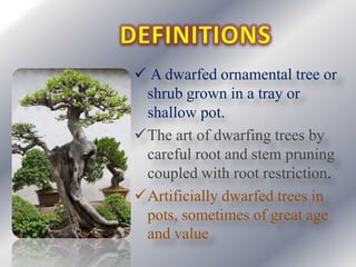 A dwarfed ornamental tree or
shrub grown in a tray or
shallow pot.
The art of dwarfing trees by
careful root and stem pruning
coupled with root restriction.
Artificially dwarfed trees in
pots, sometimes of great age
and value

 