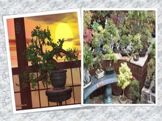 Bonsai establishment and maintainance by ravikumar JN