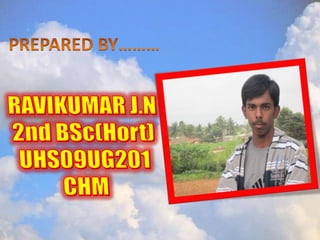 Bonsai establishment and maintainance by ravikumar JN