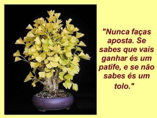 "Nunca faças aposta. Se sabes que vais ganhar és um patife, e se não sabes és um tolo."    