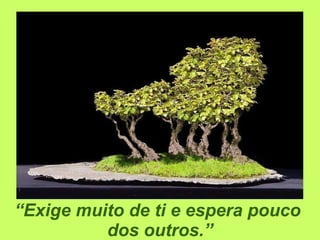 “ Exige muito de ti e espera pouco  dos outros.” 