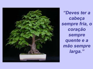 “Deves ter a 
cabeça 
sempre fria, o 
coração 
sempre 
quente e a 
mão sempre 
larga.” 
 