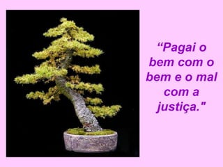 “Pagai o 
bem com o 
bem e o mal 
com a 
justiça." 
 