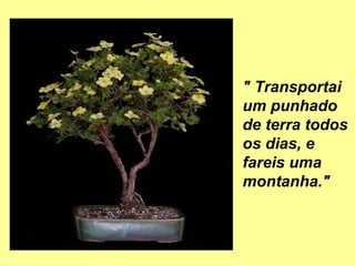 " Transportai 
um punhado 
de terra todos 
os dias, e 
fareis uma 
montanha." 
 