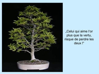 „ Celui qui aime l‘or plus que la vertu, risque de perdre les deux !“ 