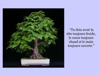 “ Tu dois avoir la tête toujours froide, le coeur toujours chaud et le main toujours ouverte.” 