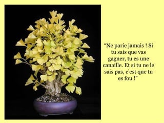 “ Ne parie jamais ! Si tu sais que vas gagner, tu es une canaille. Et si tu ne le sais pas, c’est que tu es fou !”  