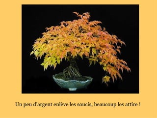 Un peu d’argent enlève les soucis, beaucoup les attire !  