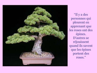 “ Il y a des personnes qui pleurent en apprenant que les roses ont des épines. D’autres se réjouissent quand ils savent que les épines portent des roses.” 