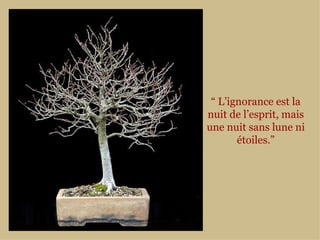 “  L’ignorance est la nuit de l’esprit, mais une nuit sans lune ni étoiles.” 