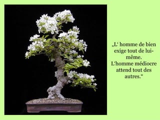 „ L‘ homme de bien exige tout de lui-même. L‘homme médiocre attend tout des autres.“ 