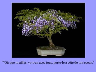 “” Où que tu ailles, va-t-en avec tout, porte-le à côté de ton coeur.” 