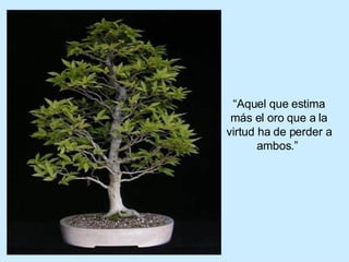 “ Aquel que estima más el oro que a la virtud ha de perder a ambos.”  