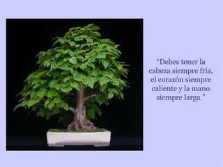 “ Debes tener la cabeza siempre fría, el corazón siempre caliente y la mano siempre larga.” 