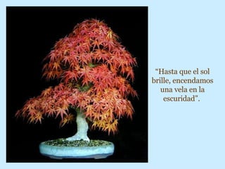 “ Hasta que el sol brille, encendamos una vela en la escuridad”.   