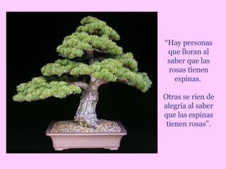 “ Hay personas que lloran al saber que las rosas tienen espinas.  Otras se ríen de alegría al saber que las espinas tienen rosas”. 