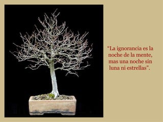 “ La ignorancia es la noche de la mente, mas una noche sin luna ni estrellas”.  