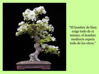 “ El hombre de bien exige todo de sí mismo; el hombre mediocre espera todo de los otros." 