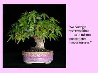 "No corregir nuestras faltas  es lo mismo que cometer nuevos errores." 