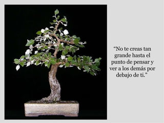 “ No te creas tan grande hasta el punto de pensar y ver a los demás por debajo de ti.”  