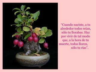 “ Cuando naciste, a tu alrededor todos reían, sólo tu llorabas. Haz por vivir de tal modo que, a la hora de tu muerte, todos lloren,  sólo tu rías”. 