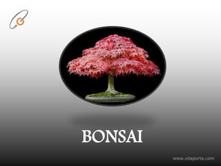 BONSAI www.vilaporta.com 